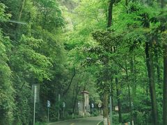-缙云山景区