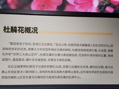 -四川大学博物馆