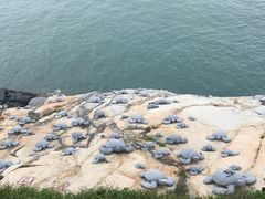 -问海文创园