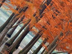 -白鹭湾湿地公园