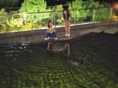 -南京圣和府邸豪华精选酒店