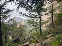 -崂山巨峰游览区