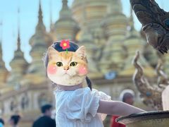 -西双版纳勐泐文化旅游区