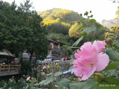 -林坑古村落