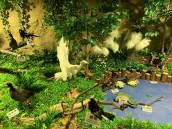 点击看大图 -酷嗒动物文化乐园(cutezoo西溪乐天城店)