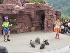 -云台山风景名胜区