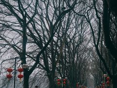 -甘棠公园