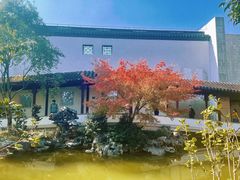 -秋霞圃