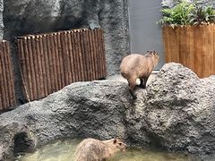 -武汉动物园