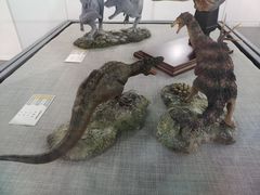 -诸城市恐龙博物馆