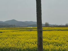 -冶父山国家森林公园