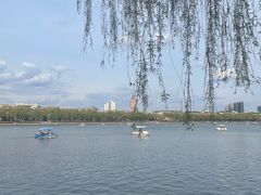 -长春市南湖公园