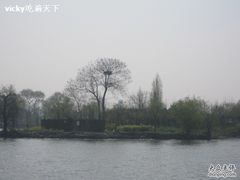 -溱湖国家湿地公园