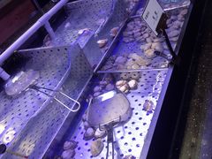 -盛江山自助料理(太原街万达店)
