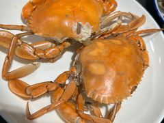 青蟹-杨记海鲜楼
