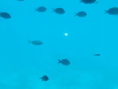 -亚龙湾海底世界