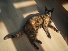 -EATALIA意塔利意式餐厅(鼓楼店)