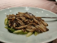 -新光酒家·河豚·海鲜·蟹料理(浦东店)