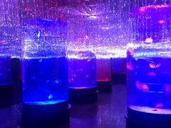 -哈尔滨波塞冬海底世界