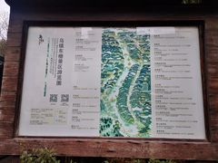 -乌镇东栅景区