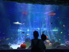 -沈阳海洋探索中心