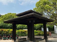 -树山生态村