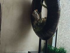 -粥鼎记(恒安新东城逸景店)