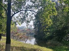 -三水森林公园
