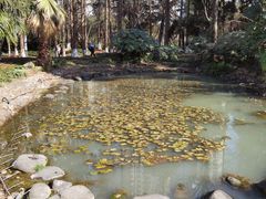 -苏州河梦清园环保主题公园