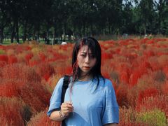 -汉长安城未央宫国家考古遗址公园