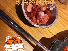 -红顶老汉烧鸡公羊蝎子火锅(学士街店)