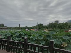 -西海子公园