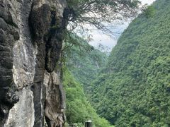 -蝶舞清江·恩施地心谷景区