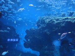 -海合安成都极地海洋公园