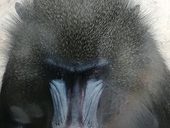 -云南野生动物园