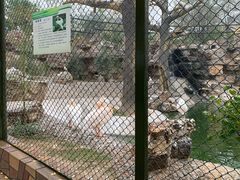 -石家庄市动物园