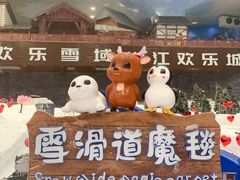-湘江欢乐城欢乐雪域