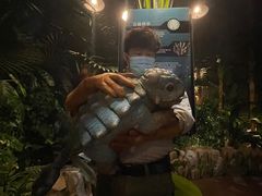 -侏罗纪世界电影特展(广州站)