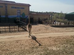 -鄂尔多斯野生动物园