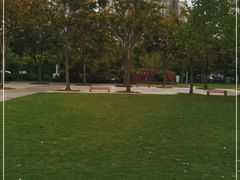 -新江湾城公园