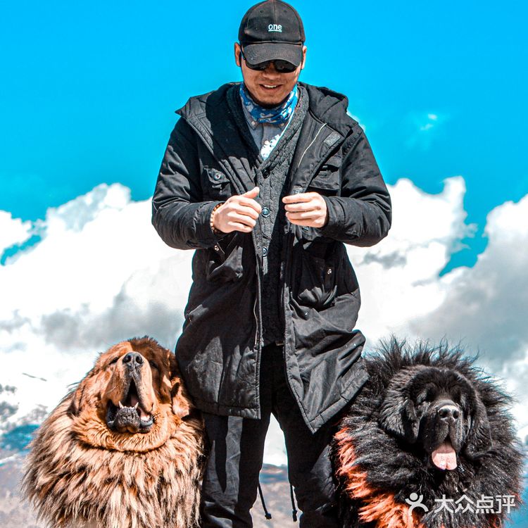 西藏小众私藏|羊湖边的藏獒拍照点