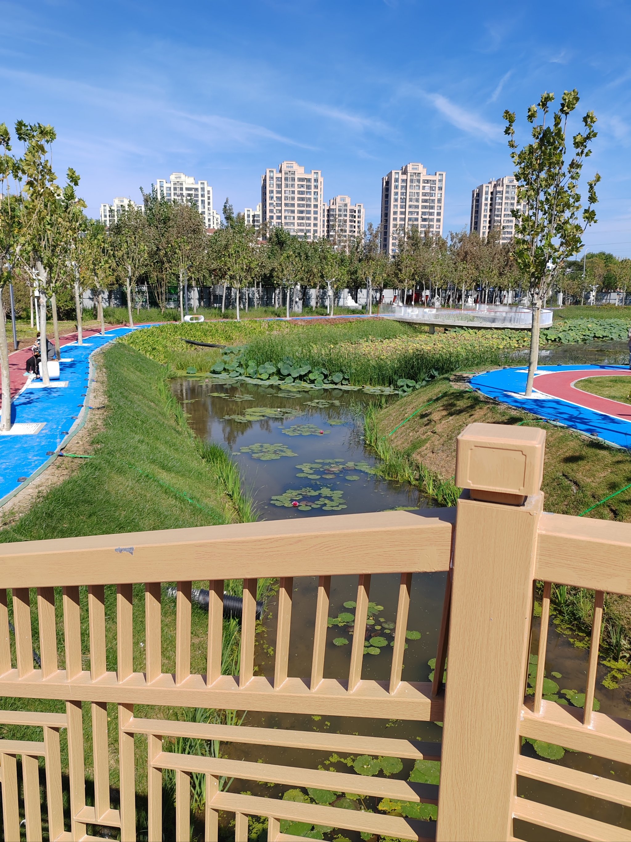 我逛过的那些公园