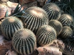 -国家植物园南园