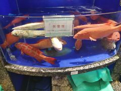 -榕港名轩(天禧店)