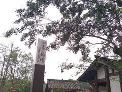 -秀丽东方