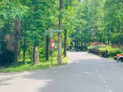 -东平国家森林公园