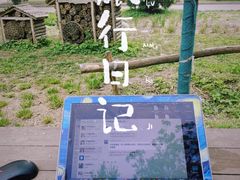 -莲花池公园