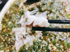 双椒鲫鱼-老来福·非遗酸汤兔(凯旋路店)
