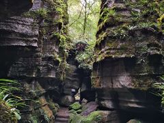 -梭布垭石林景区