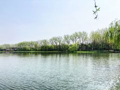 -溱湖国家湿地公园